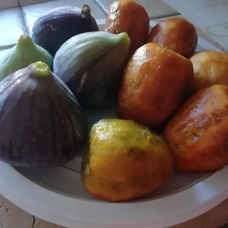 I Due Campanili 阿尔贝罗贝洛